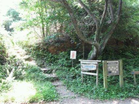 画像12